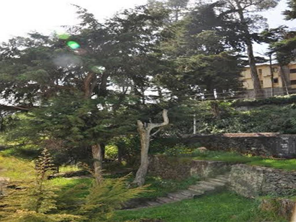 Hill Heaven Home Stay Kodaikanal Kültér fotó